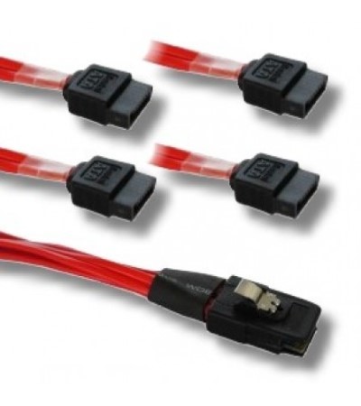 Internal Mini SAS to 4 SATA